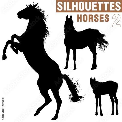horses silhouettes 2 #1970510