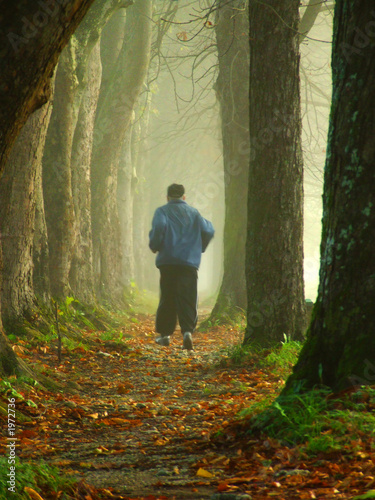 senior's healthy life