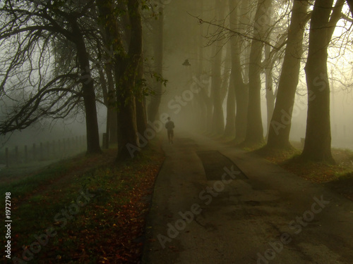 senior walking in nature