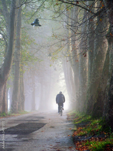 old man cycling at alley