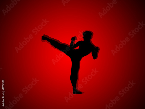 abstract graphic art , kung fu