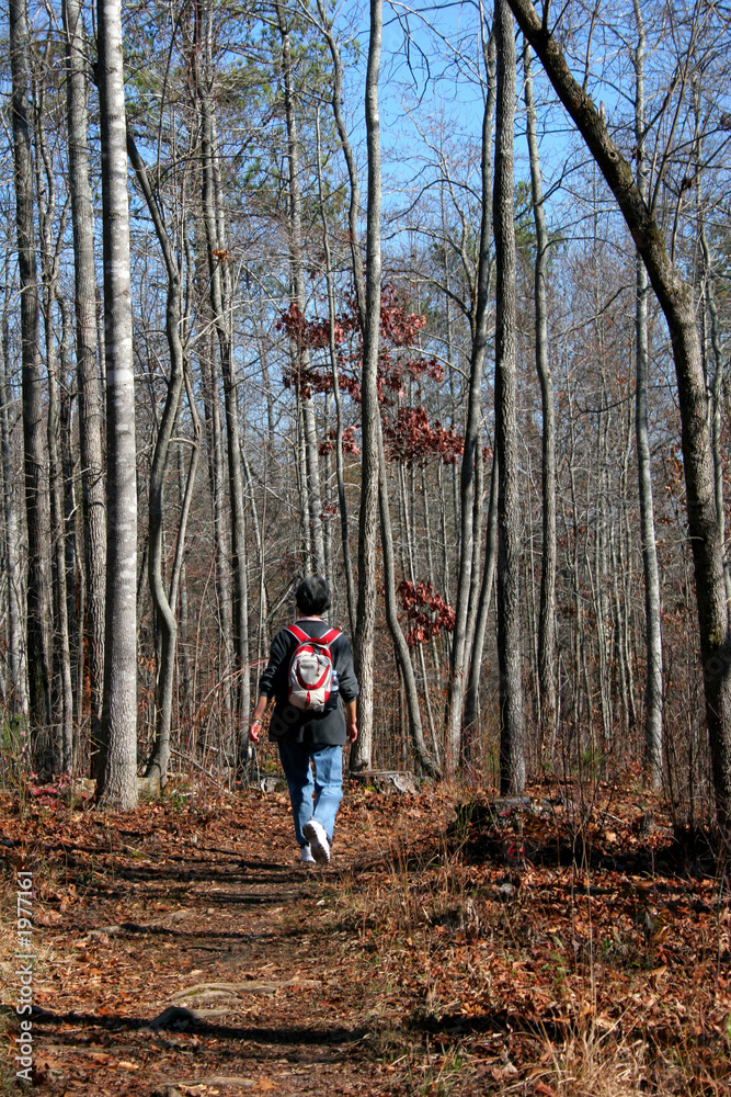 woodland hike