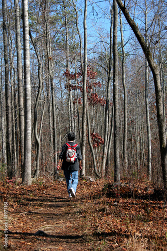 woodland hike © dbvirago