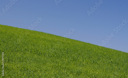 фотографія down the perfect hill