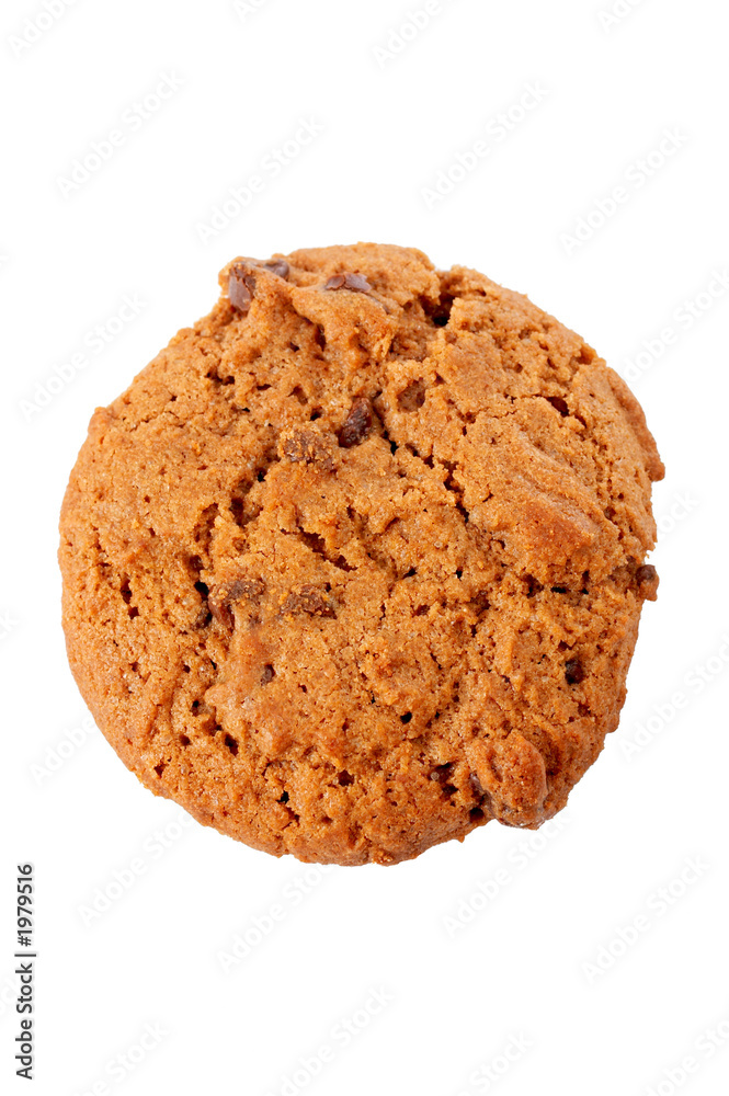 one chocolate cookie one chocolate cookie
