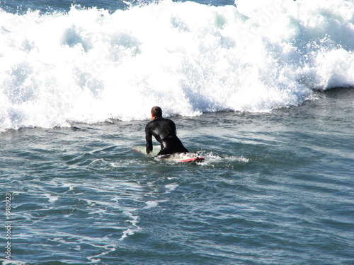 surfer vs. the wave