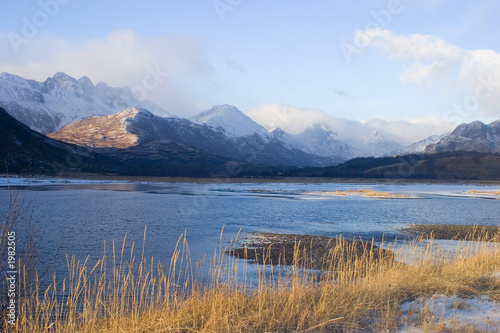 kodiak island with reeds and water in the foreground and snow covered mountains behind