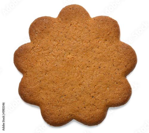 gingerbread