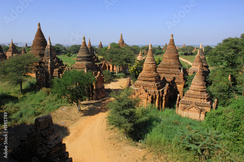 myanmar, bagan: general panorama