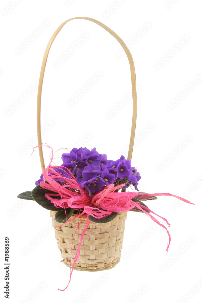decorative basket full of violets