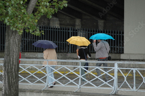 les parapluies photo