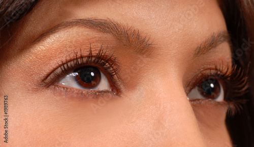closeup of attractive woman's brown eyes photo