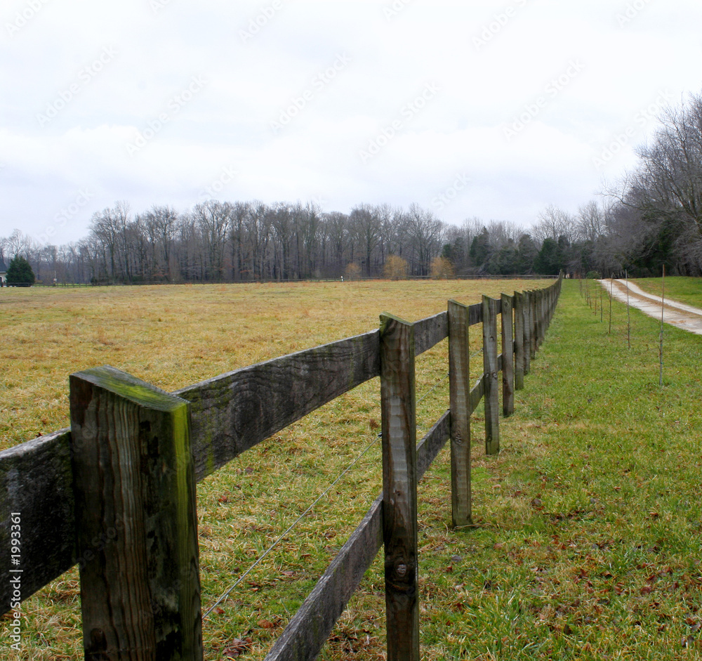 Obraz premium fence