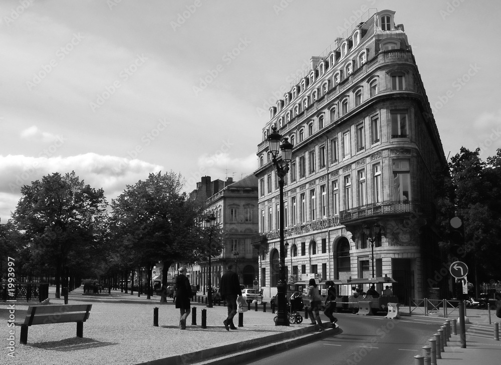 Fototapeta premium au coin