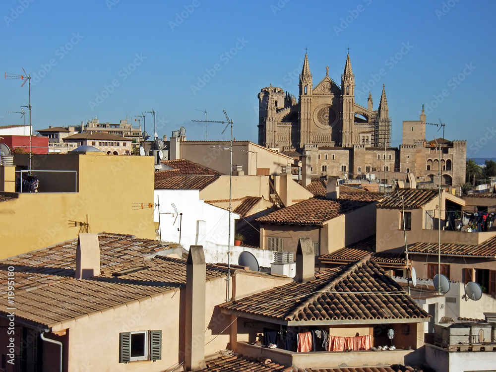 palma cathedral over the roofs