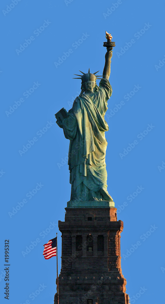 Fototapeta premium behind liberty