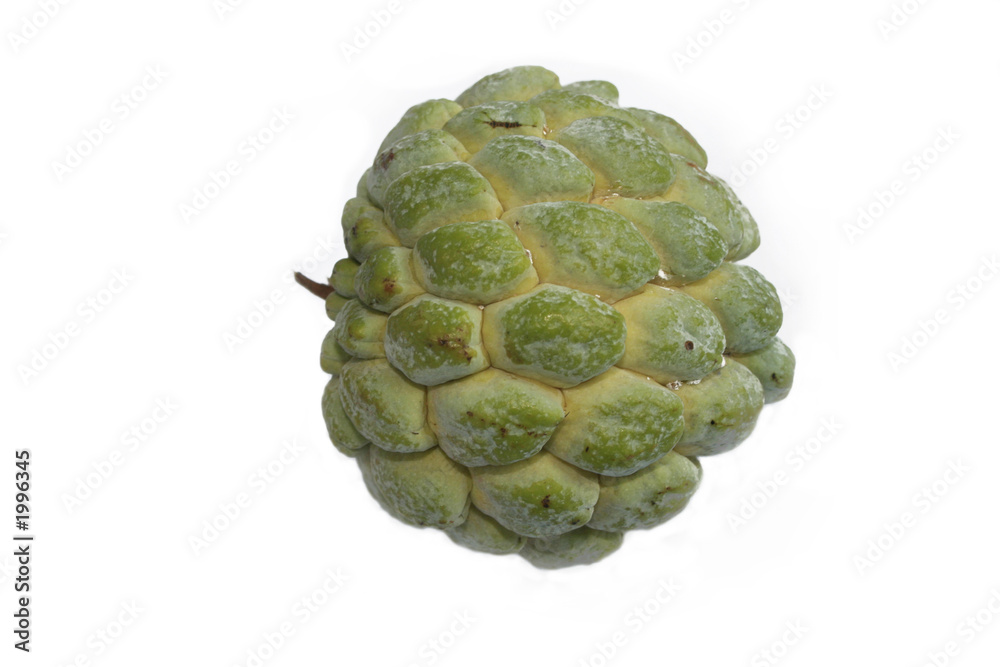 ,fruit 2254 ,fruit 2254