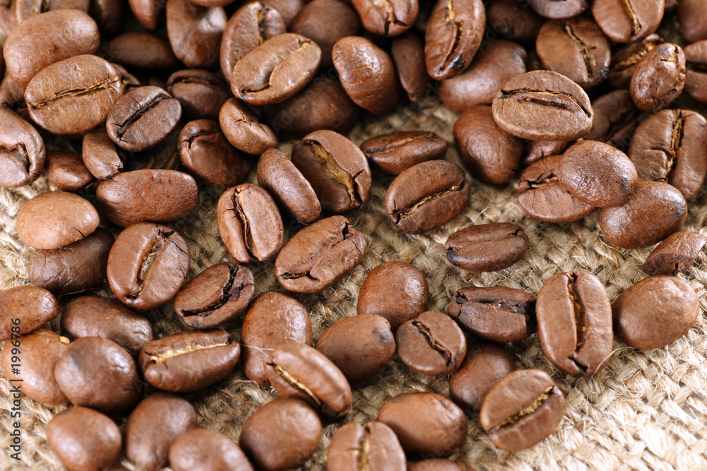 grains of natural coffee grains of natural coffee