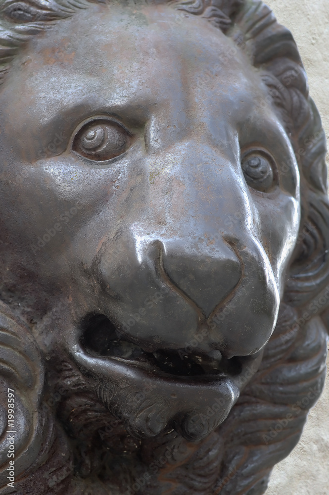 lions head, bronze