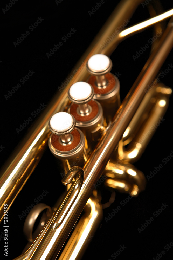 Obraz premium trumpet valves