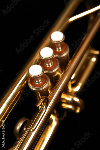 Canvas Print trumpet valves