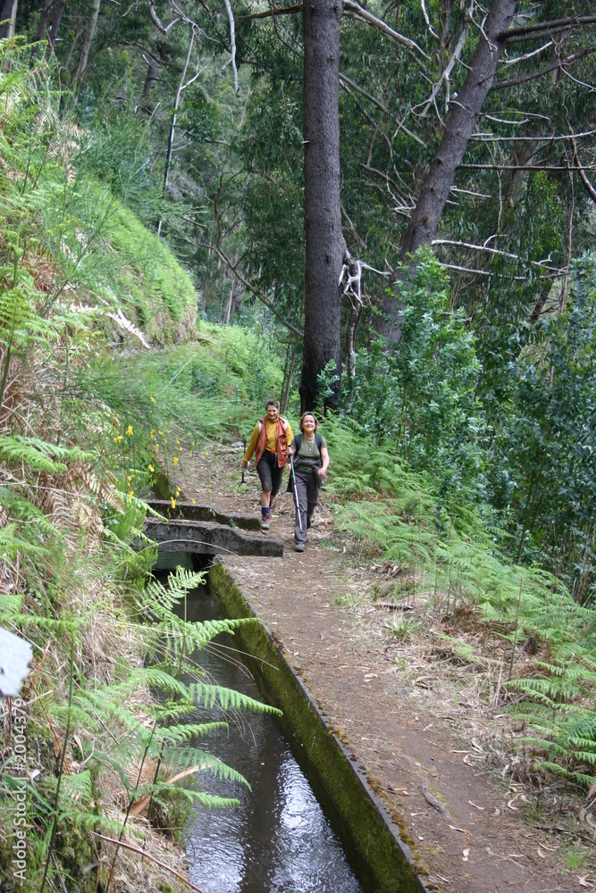 levada madere levada madere
