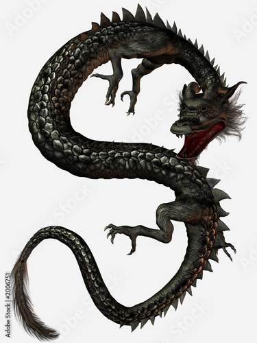 eastern dragon © Andreas Meyer