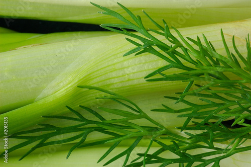 dill