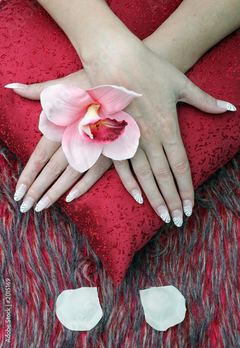 nature morte with woman's hands and flowers