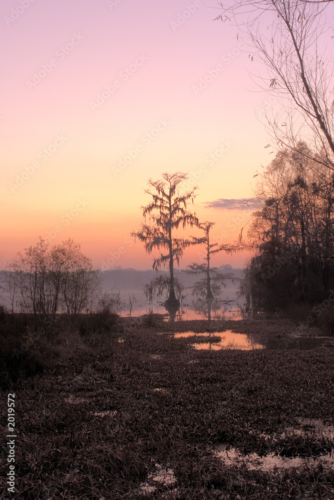 Obraz premium lake martin sunrise