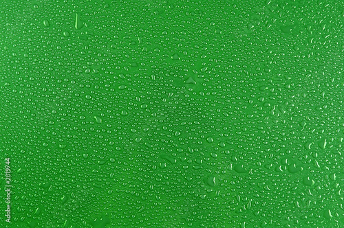 water drops on green