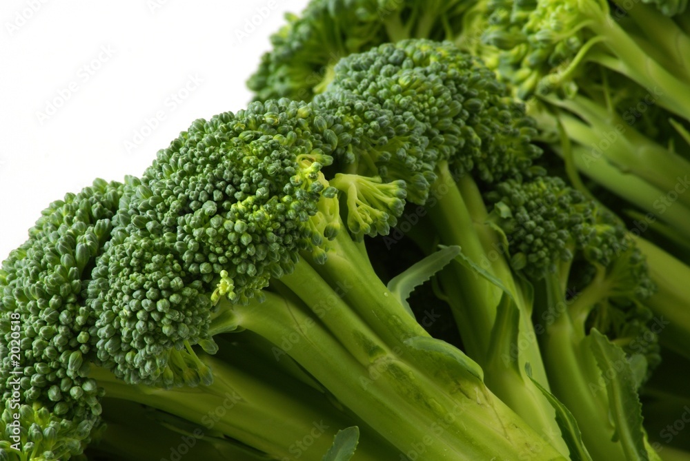 raw broccoli raw broccoli