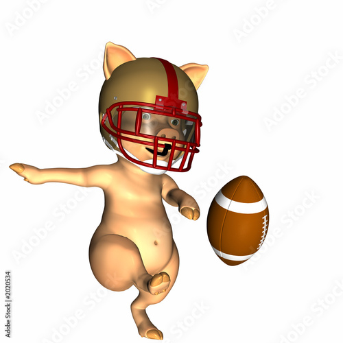Εκτύπωση καμβά pigskin 2