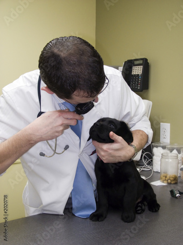 first check-up