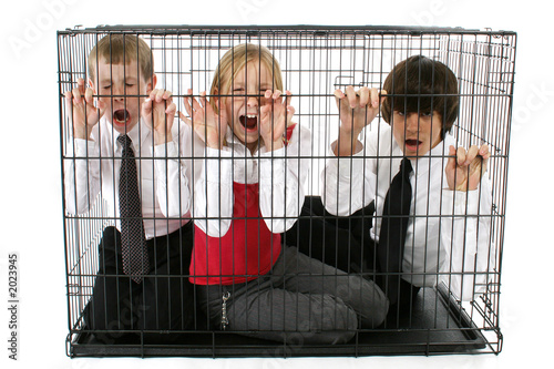 Canvas-taulu caged kids