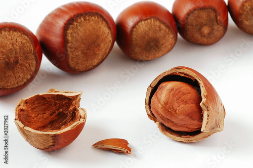 hazelnut