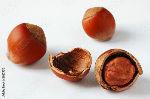 nuts
