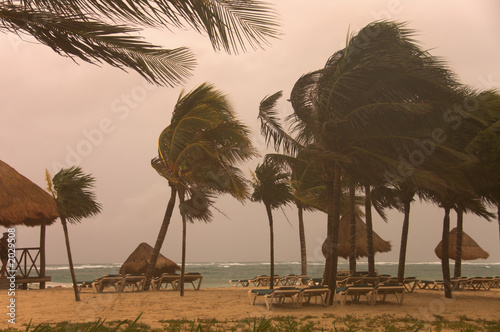 Windy storm in the beach  Tulum  Mexico