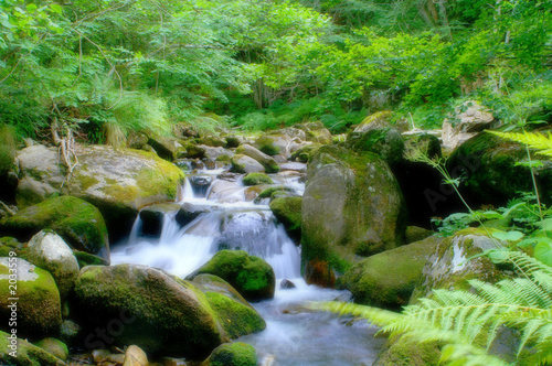 filé d'eau