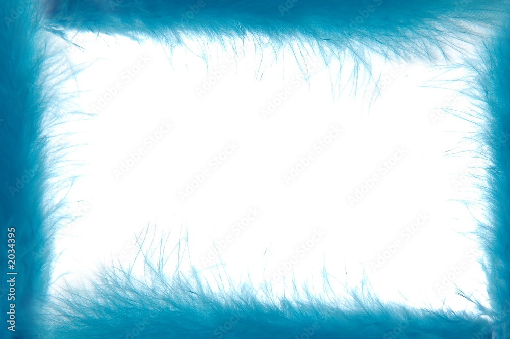 Fototapeta premium blue feather frame