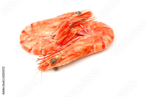 shrimp pair