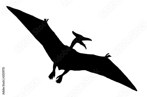 Canvastavla dinosaure volant