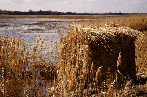 duck blind