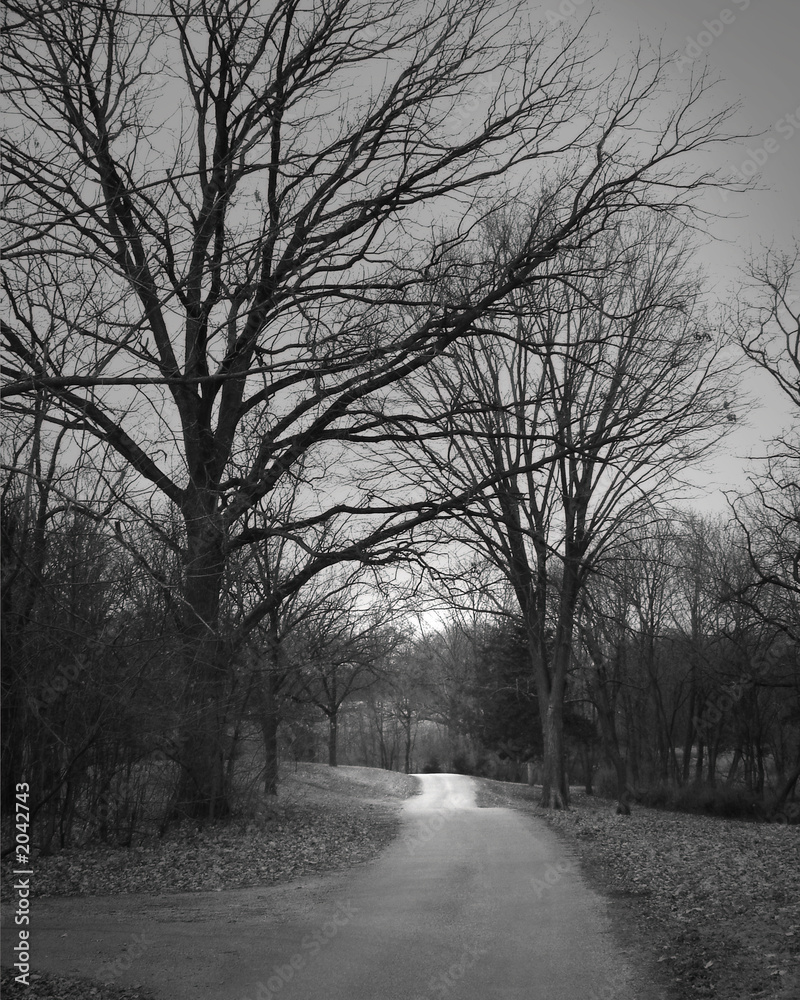 sunrise on the path