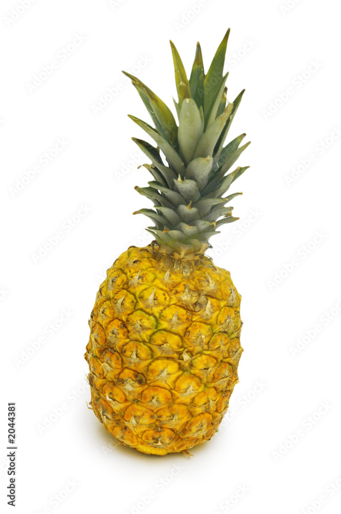 ripe pineapple isolated on the white background ripe pineapple isolated on the white background