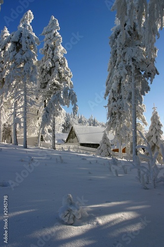 winter