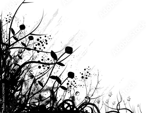 organic frame