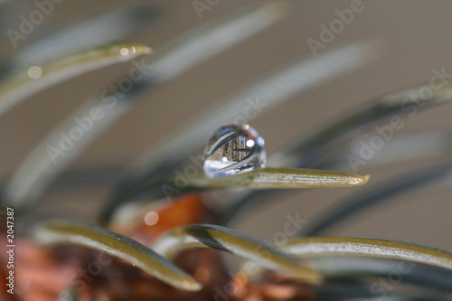 water droplet