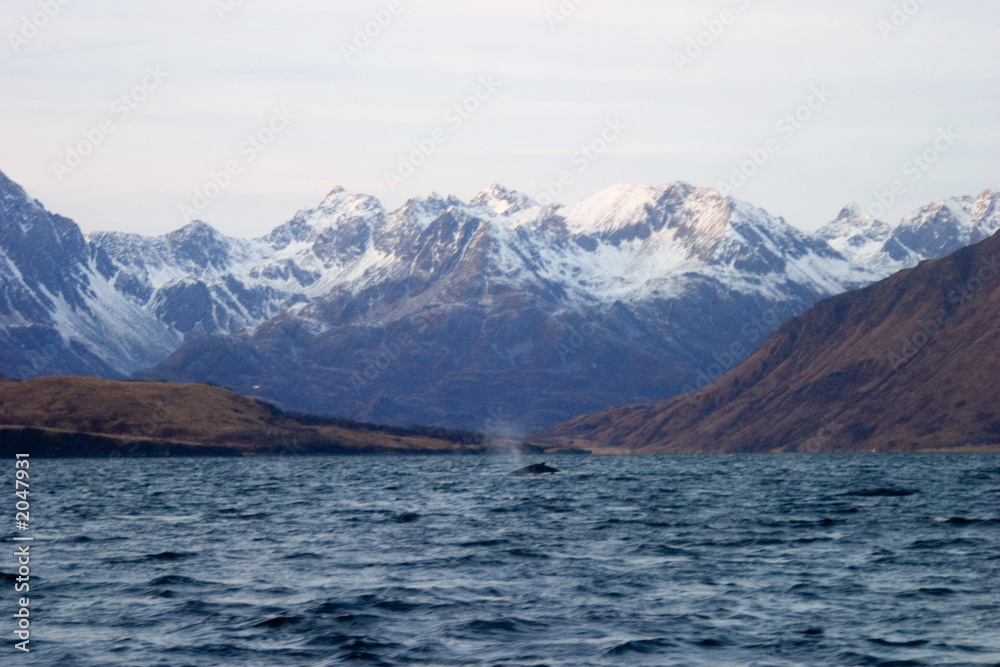 snow-capped mountains behind a remote harbor on kodiak island in Alaska