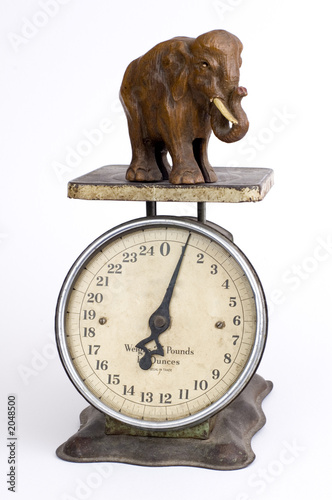 the one pound elephant long